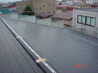 Paneru_002_3 Paneru_002_3