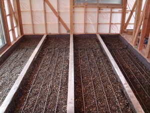 Asasasationdoruww_001